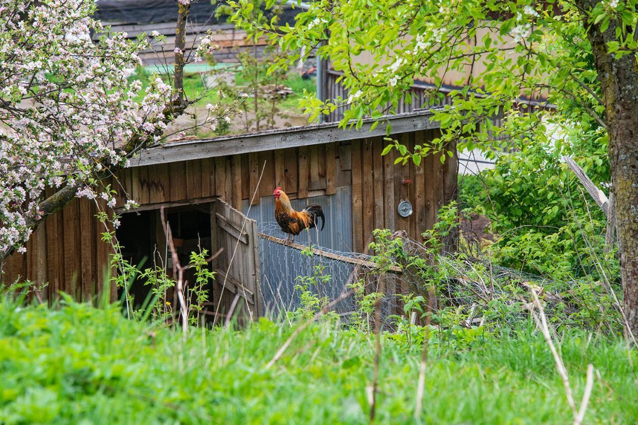 Gut Tausendbachl Regen Exterior foto